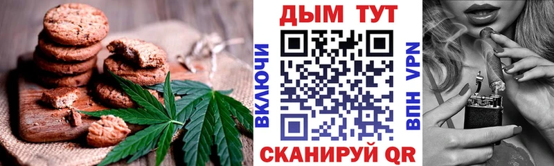 Купить где  Зерноград  Canna-Cookies конопля 