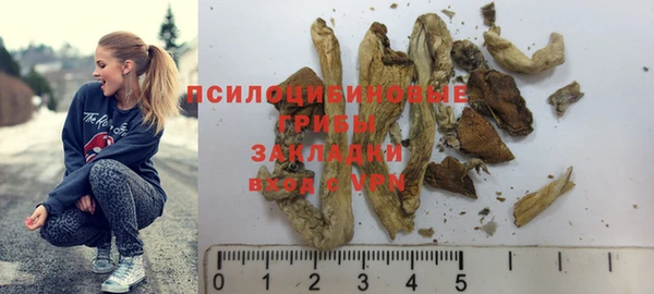 ПСИЛОЦИБИНОВЫЕ ГРИБЫ Нея