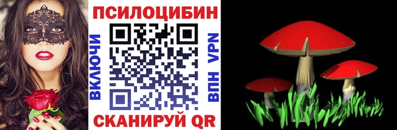 Галлюциногенные грибы Psilocybine cubensis  Купить  Зерноград 